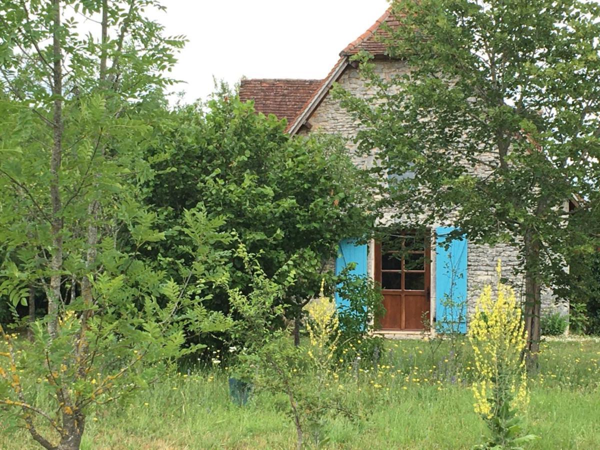 Le Chant Du Coq Lacave  Eksteriør billede